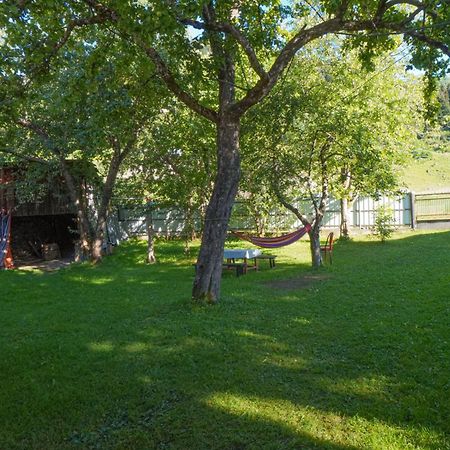Givi Kakhiani'S Guesthouse Zhabeshi Kültér fotó